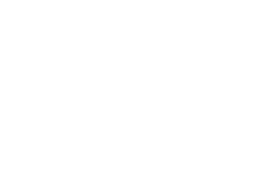 IES