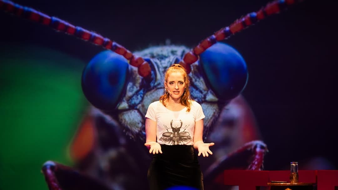 Saving insects by rethinking plastics